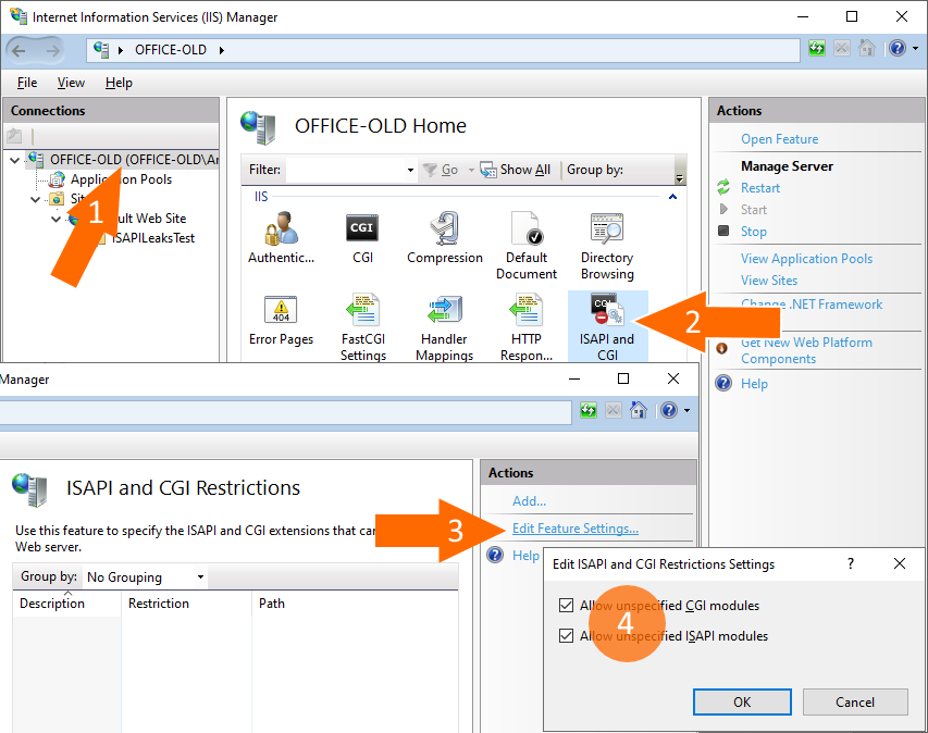 Allow unspecified CGI and ISAPI modules